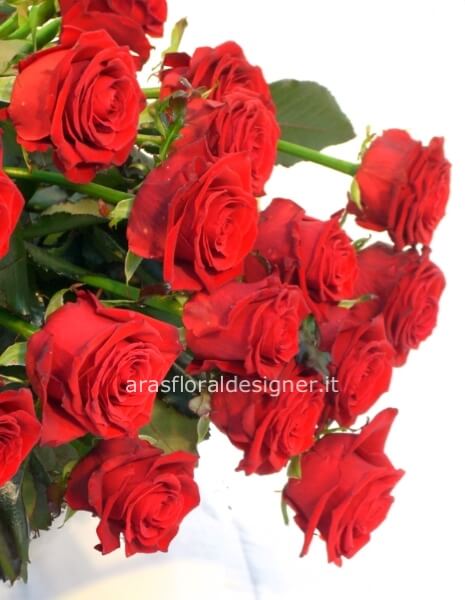 Rose rosse