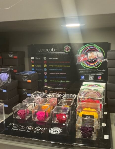 Rose stabilizzate tutti i colori misura 6x6