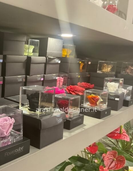 Flowercube Rosa stabilizzata 8x8  